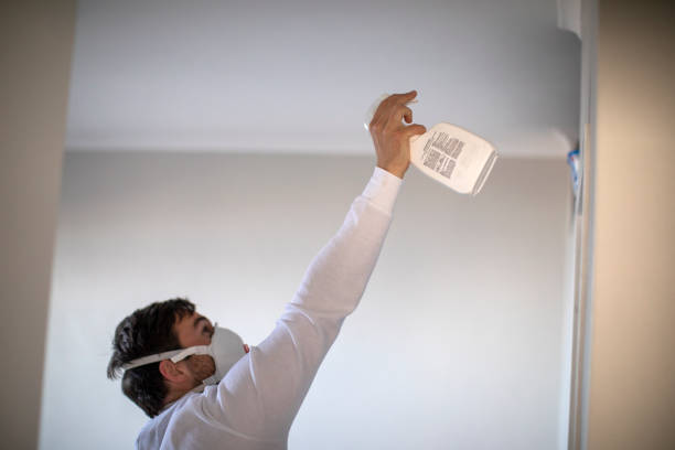 Best Emergency Mold Removal  in Farmington, PA