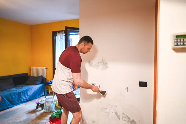 Mold Removal Process in Farmington, PA